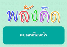 แบะแซคืออะไร พารามิเตอร์รูปภาพ 1